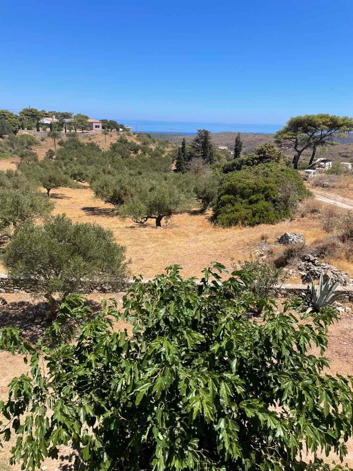 Theros House Agios Ilias  Exterior foto